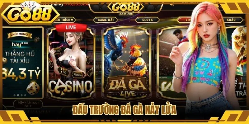 Đấu trường đá gà nảy lửa
