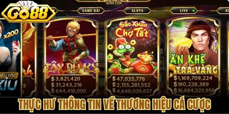 Thực hư thông tin về thương hiệu cá cược